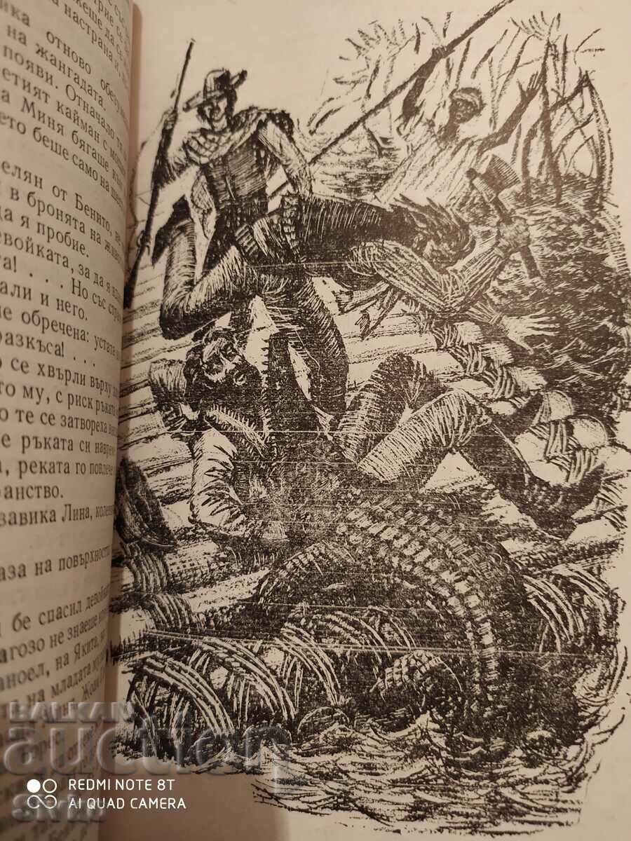 Delivery of Zhangada, 800 Leagues on the Amazon, Jules Verne, illustrations Delivery of Zhangada, 800 Leagues on the Amazon, Jules Verne, illustrations