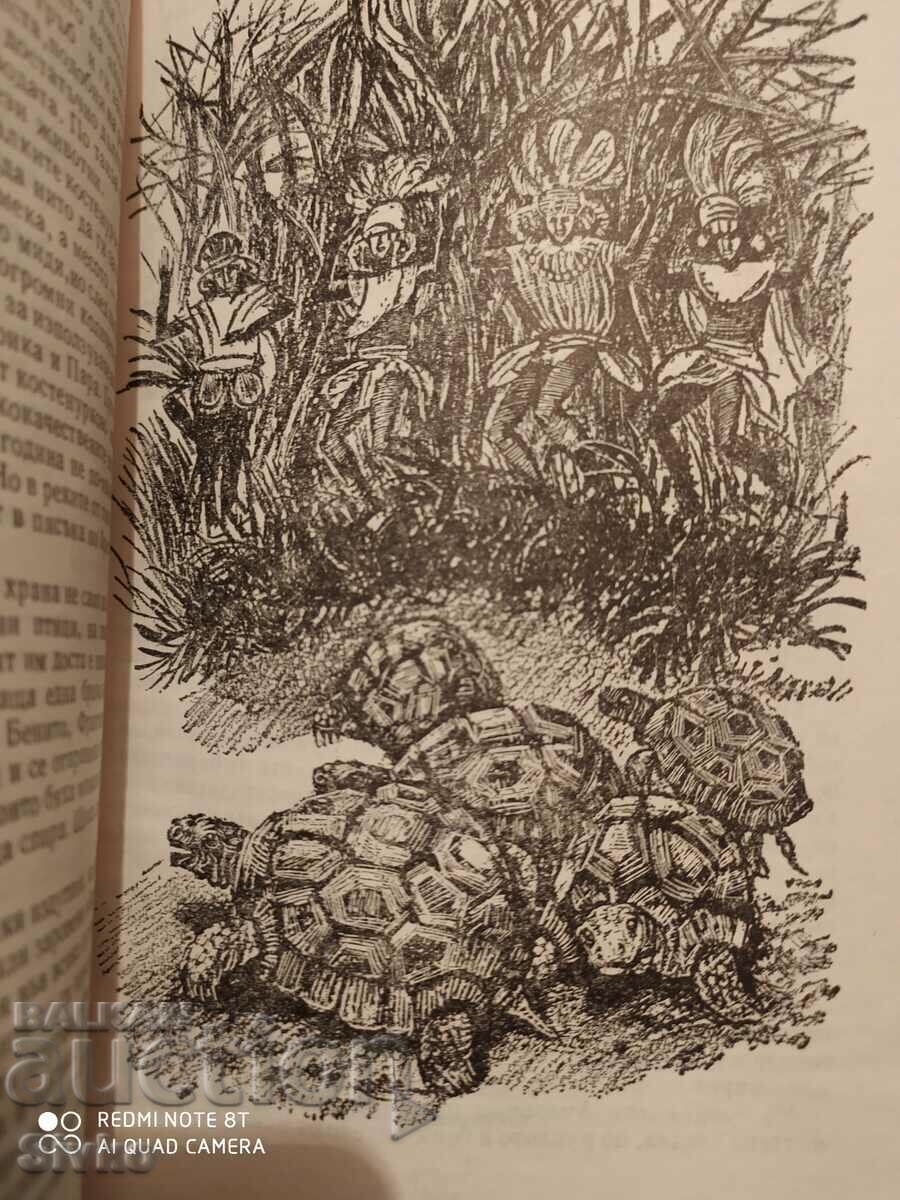 Zhangada, 800 Leagues on the Amazon, Jules Verne, illustrations - 5 Zhangada, 800 Leagues on the Amazon, Jules Verne, illustrations - 5