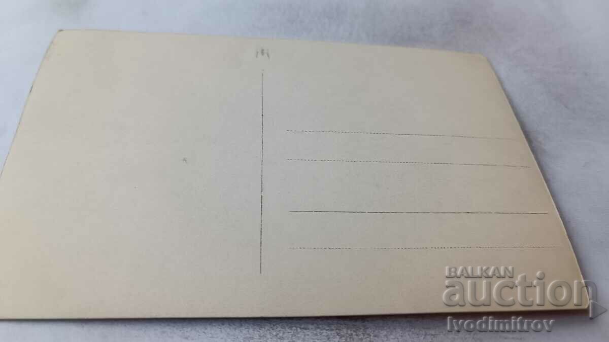 Photo Two men women and children on a cliff above the sea with price 2.35 BGN | € 1.20 Photo Two men women and children on a cliff above the sea with price 2.35 BGN | € 1.20