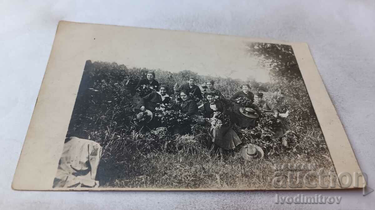 Fotografie Pleven Fete tinere în iarbă înaltă 1919