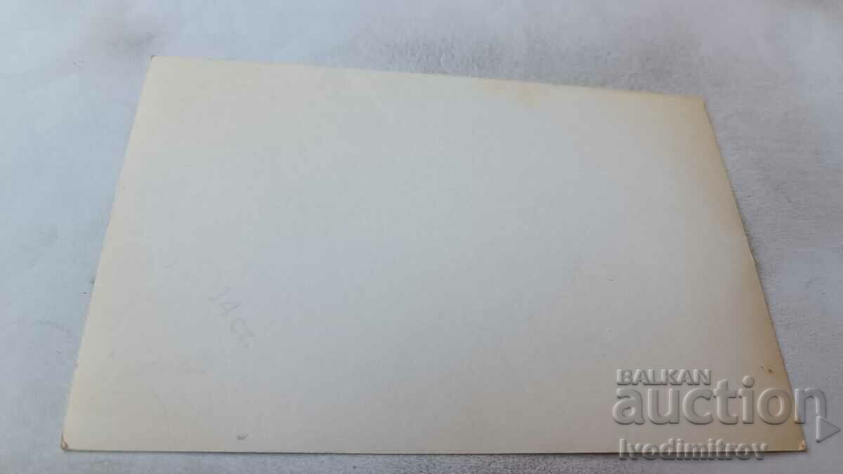 Postcard Govedartsi CSPS II villa with price 1.85 BGN | € 0.95 Postcard Govedartsi CSPS II villa with price 1.85 BGN | € 0.95