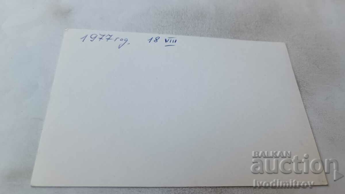 Postcard Shiroka laka Collage 1977 with price 2.45 BGN | € 1.25 Postcard Shiroka laka Collage 1977 with price 2.45 BGN | € 1.25