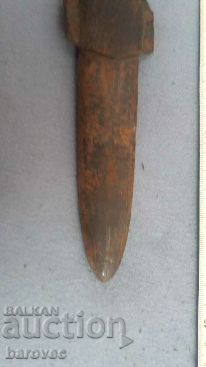 Auction Old cania with a lopus Auction Old cania with a lopus