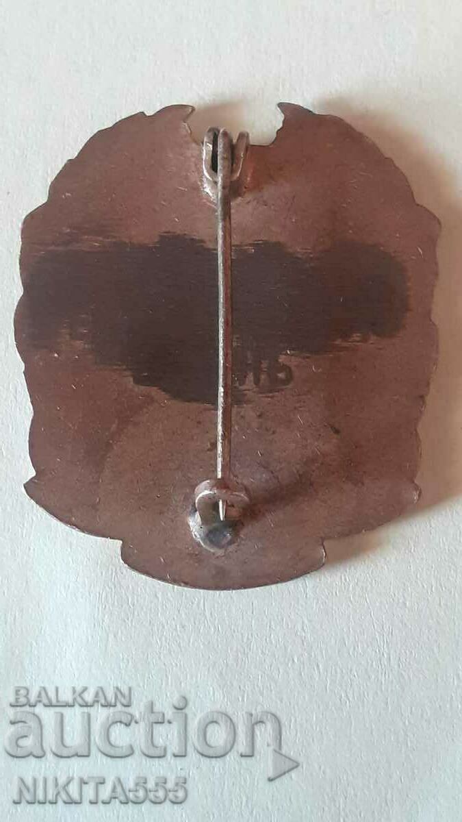 Royal badge, badge Vidin-Danube Yunashka Oblast - 5