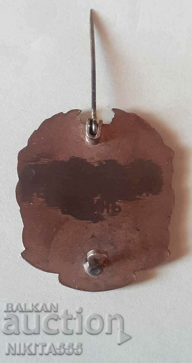 Royal badge, badge Vidin-Danube Yunashka Oblast - 6