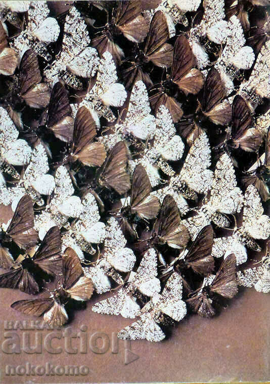 Списание: КУРИЕР НА ЮНЕСКО - 6 Списание: КУРИЕР НА ЮНЕСКО - 6