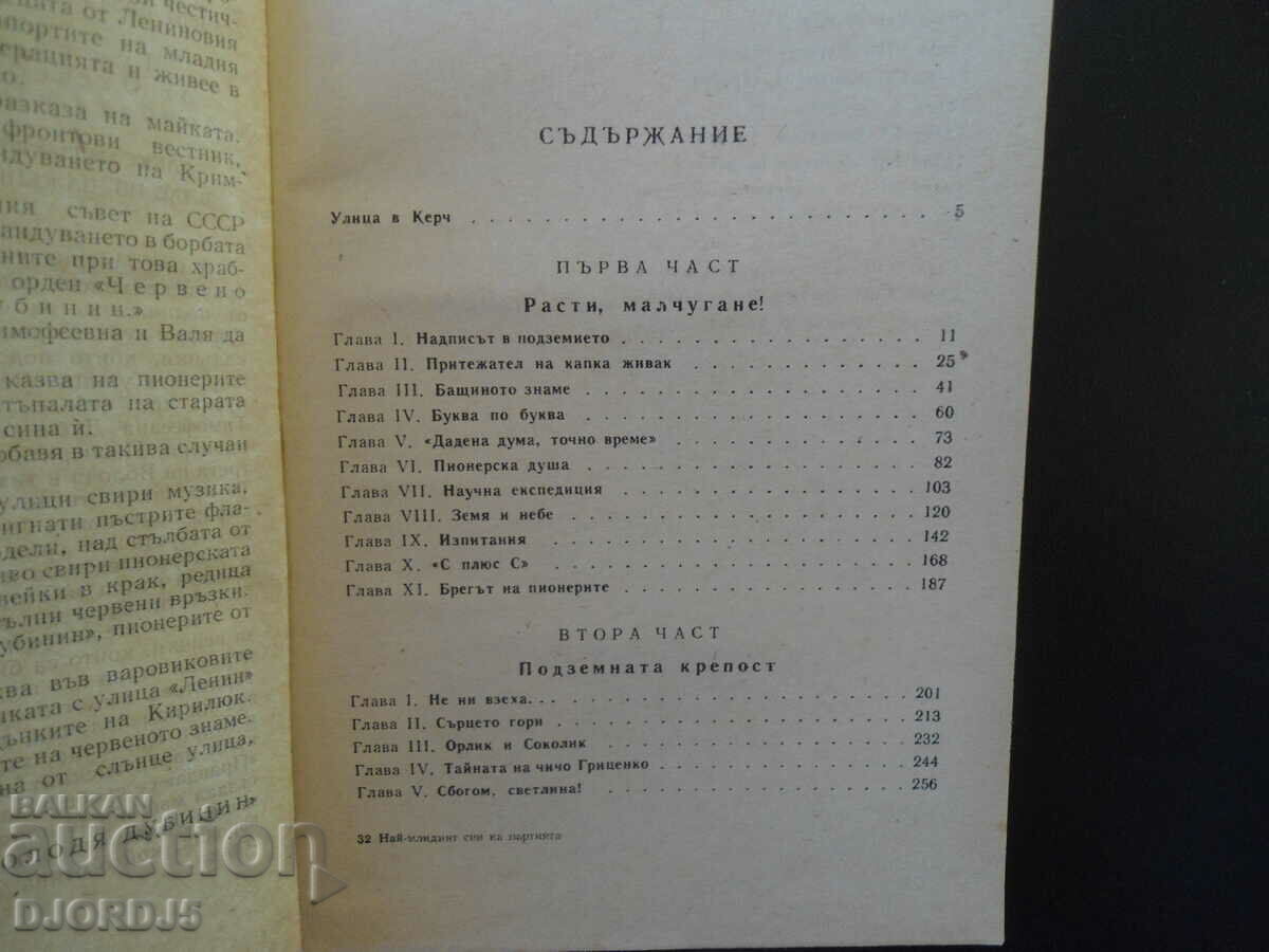 Auction The youngest son of the Party Auction The youngest son of the Party