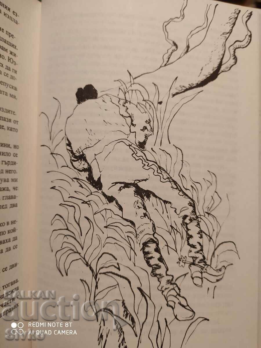 The Headless Horseman, Mine Read, many illustrations - 5 The Headless Horseman, Mine Read, many illustrations - 5