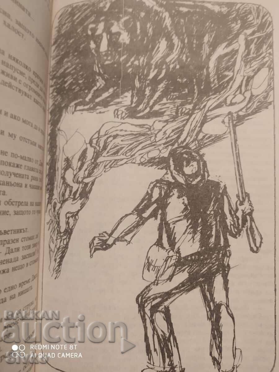 On the Frontiers of the Far West, Emilio Salgari, first editions - 5 On the Frontiers of the Far West, Emilio Salgari, first editions - 5