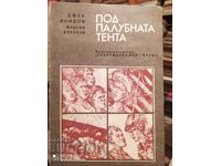 Under the Deck Awning, Jack London, First Edition, Illustrations