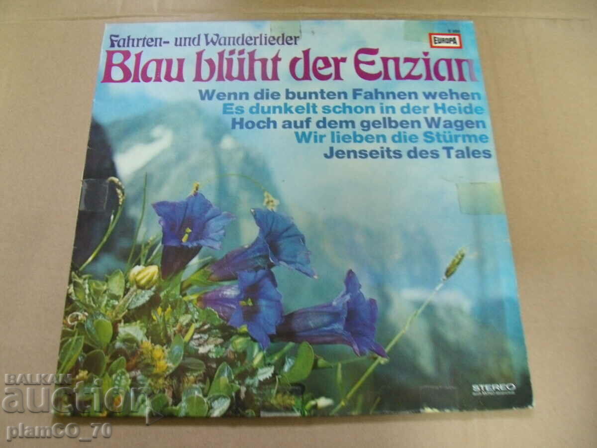 #*7105 record de gramofon vechi - Blau Bluht der Enzian