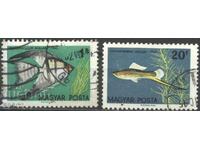 Σφραγισμένα γραμματόσημα Fauna Fishes 1962 από την Ουγγαρία