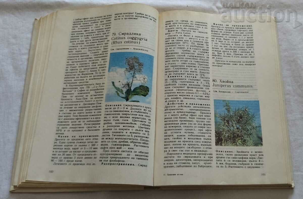 Delivery of NATURAL PHARMACY COLLECTIVE 1989 Delivery of NATURAL PHARMACY COLLECTIVE 1989