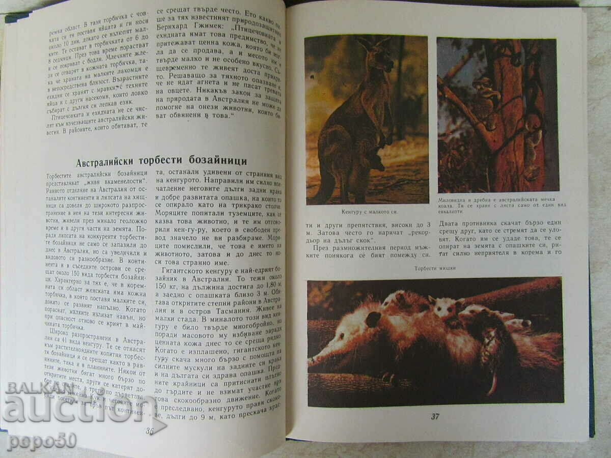 Delivery of AUSTRALIA, OCEANIA, ANTARCTIC - Geographical Christomathy Delivery of AUSTRALIA, OCEANIA, ANTARCTIC - Geographical Christomathy