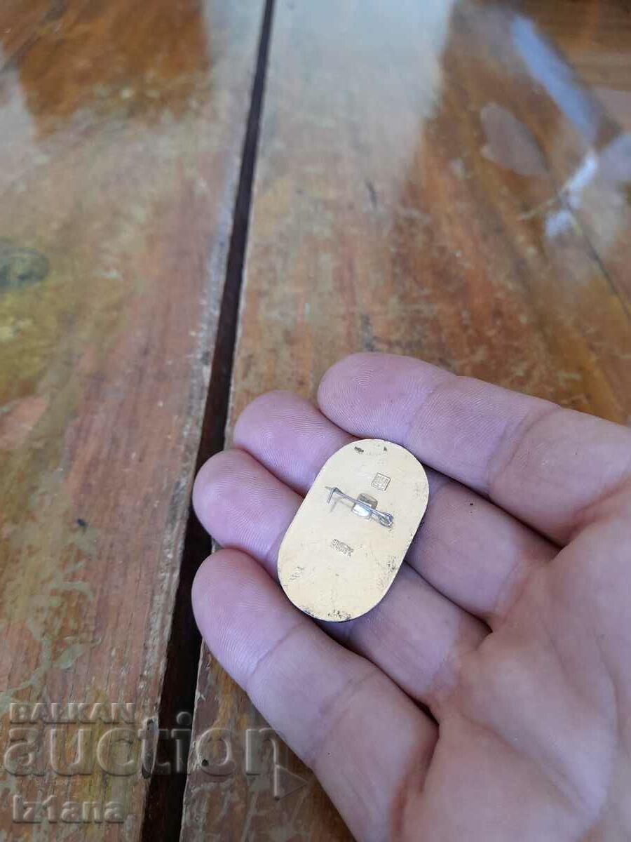 Auction  Old badge teddy bear Misha