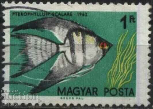 Pește de faună ștampilat 1962 din Ungaria