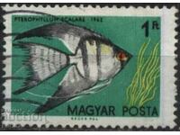 Pește de faună ștampilat 1962 din Ungaria