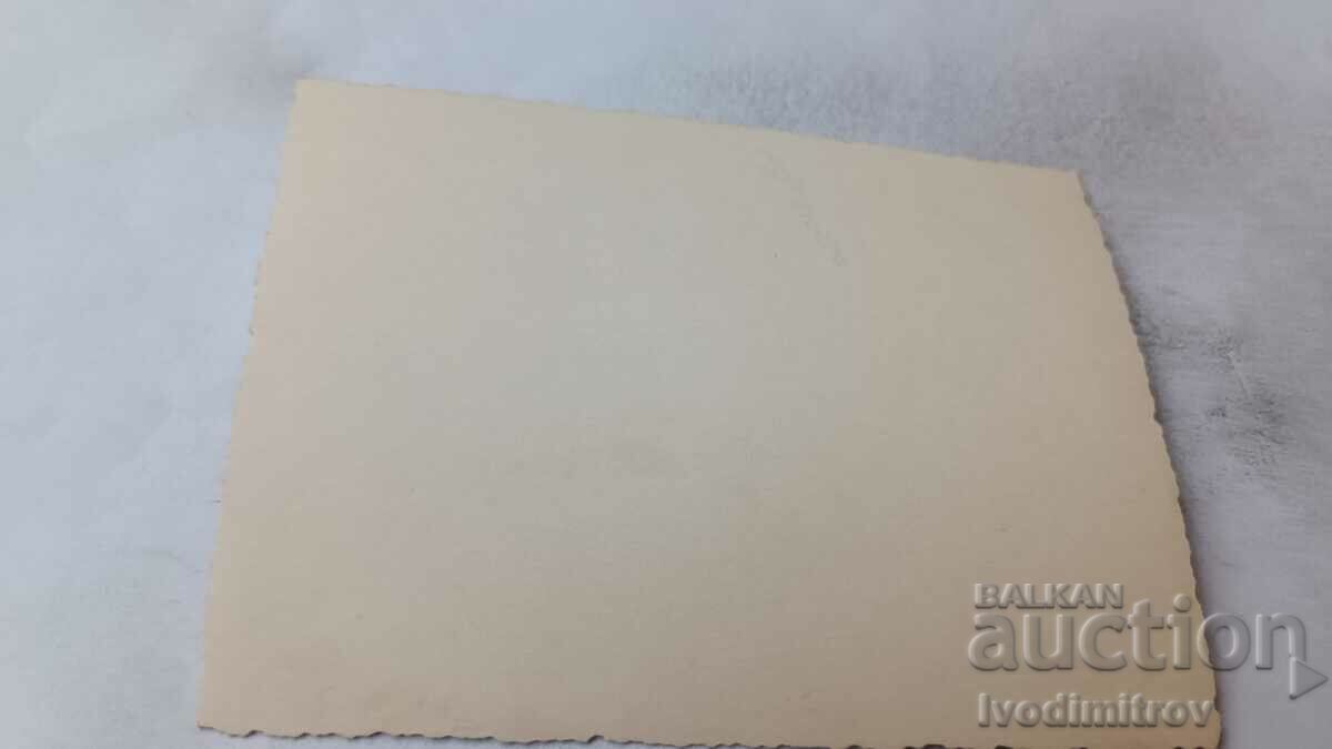 Photo Young woman sitting on a railing with price 0.85 BGN | € 0.43 Photo Young woman sitting on a railing with price 0.85 BGN | € 0.43