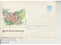 Envelope Butterflies Insects
