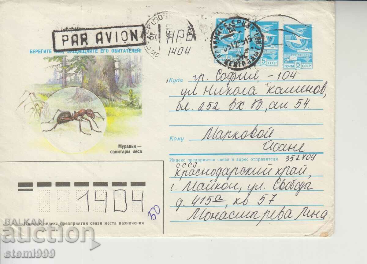 Postal envelope Ants Insects