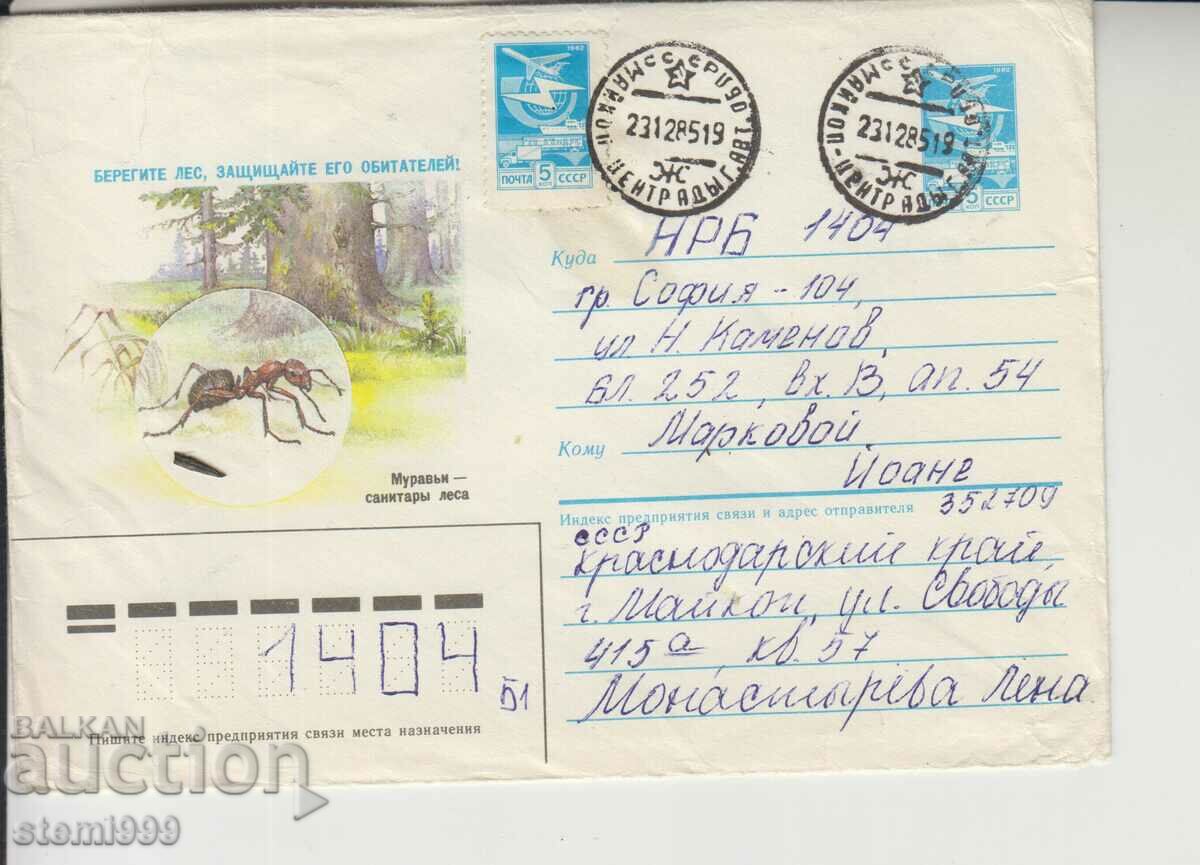 Postal envelope Ants Insects
