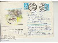 Ταχυδρομικός φάκελος Μυρμήγκια Έντομα