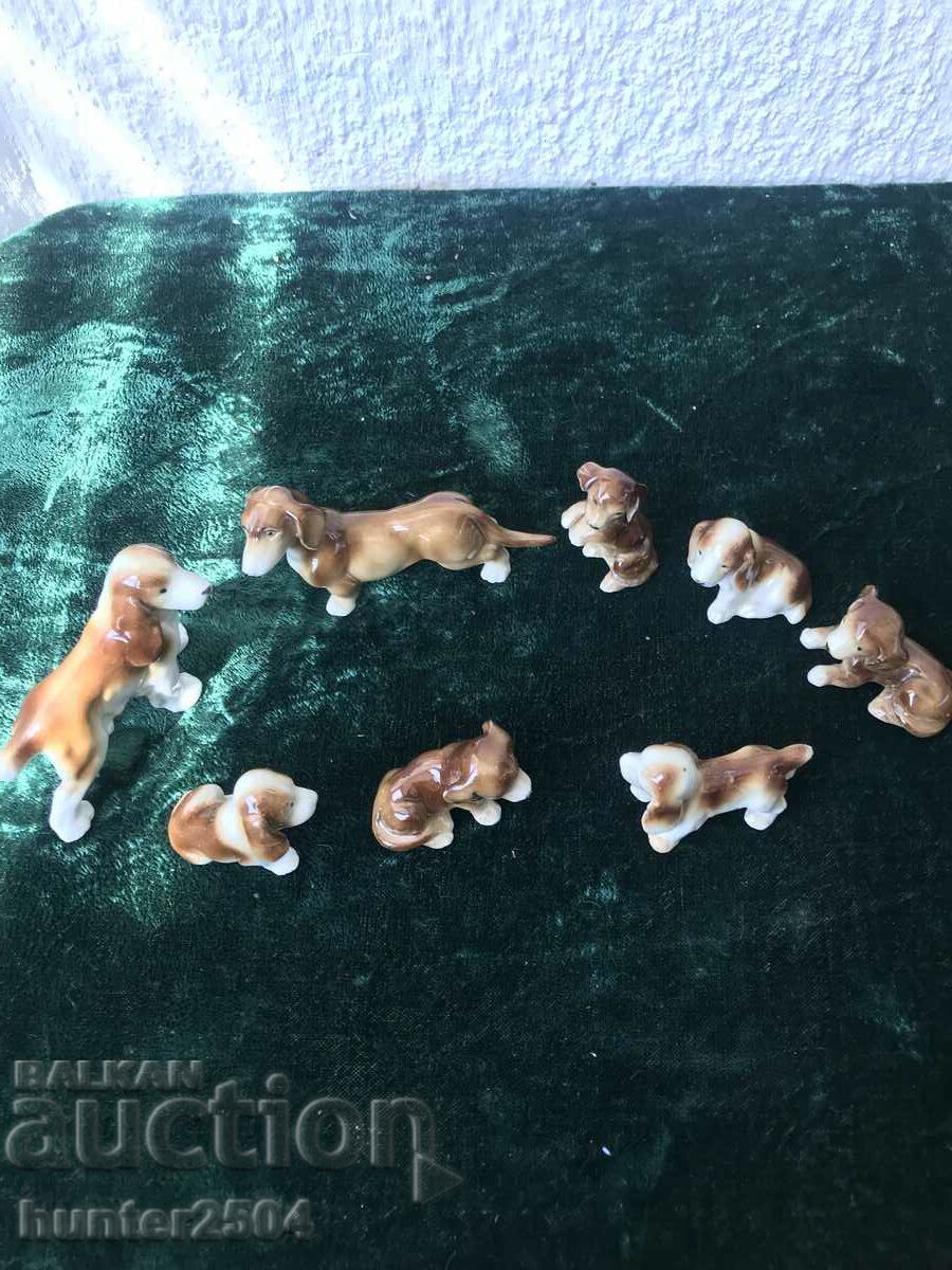 Κουτάβια - συλλογή 8 τεμαχίων, Γερμανία με τιμή 64.95 BGN | € 33.21