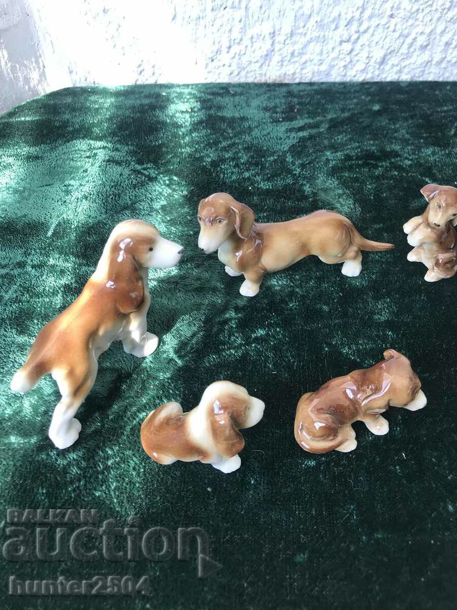 Аукцион Кученца- колекция 8бр,Германия