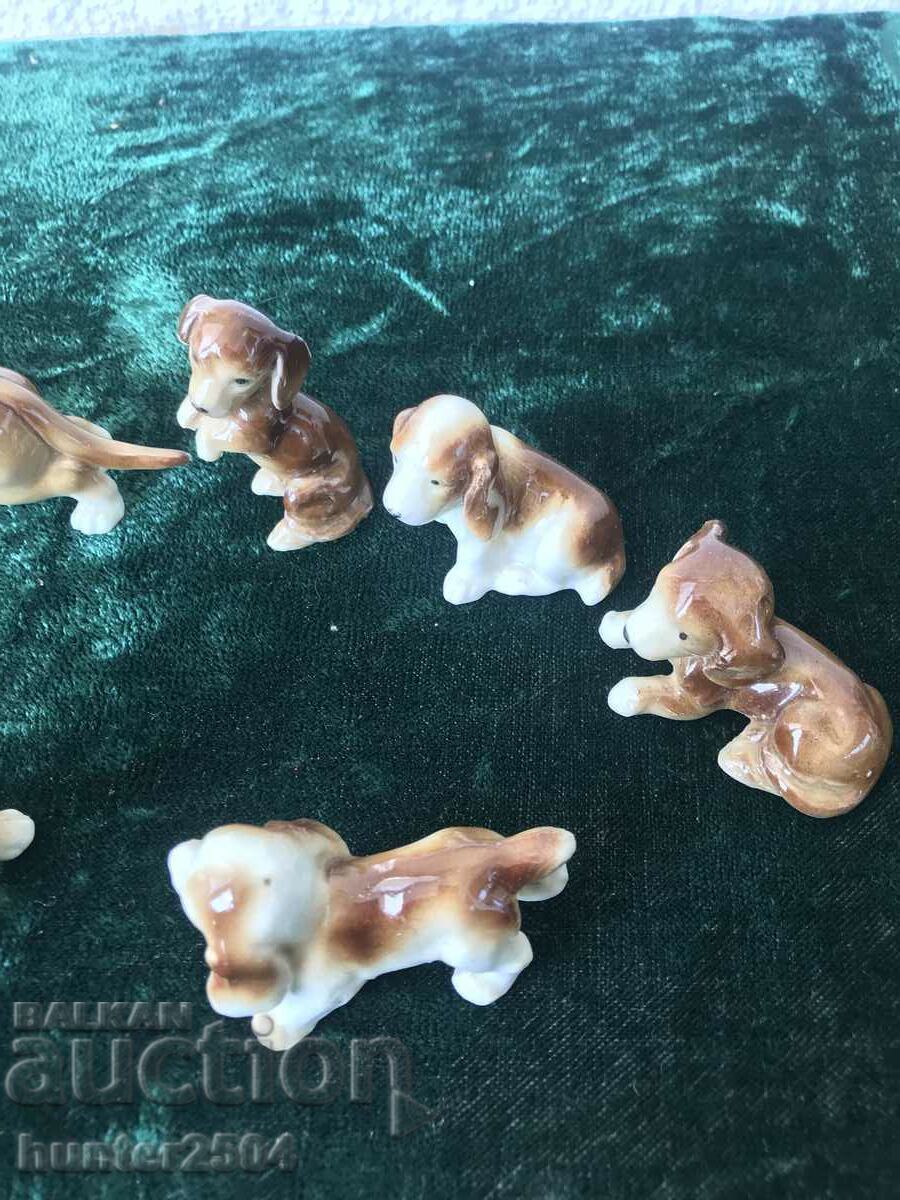 Доставка на Кученца- колекция 8бр,Германия