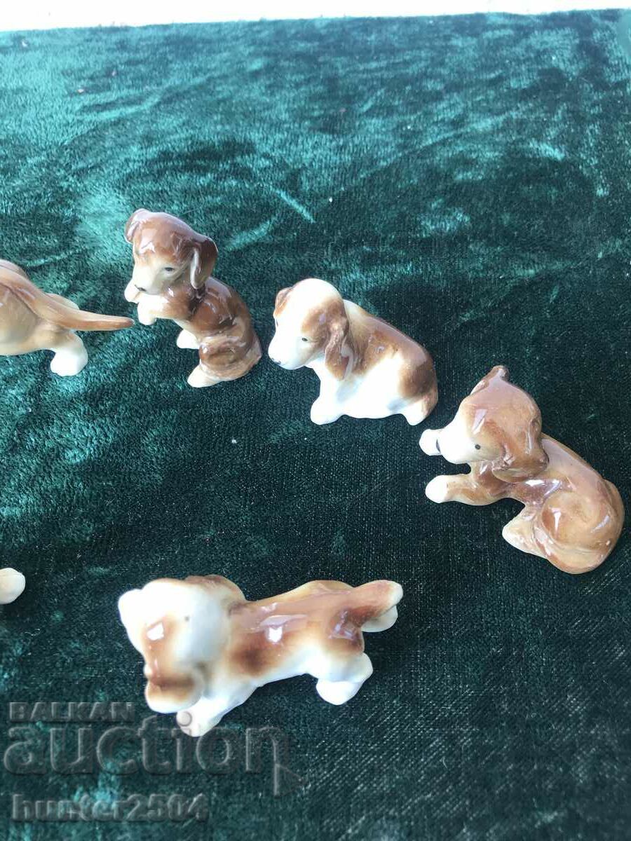 Кученца- колекция 8бр,Германия - 5