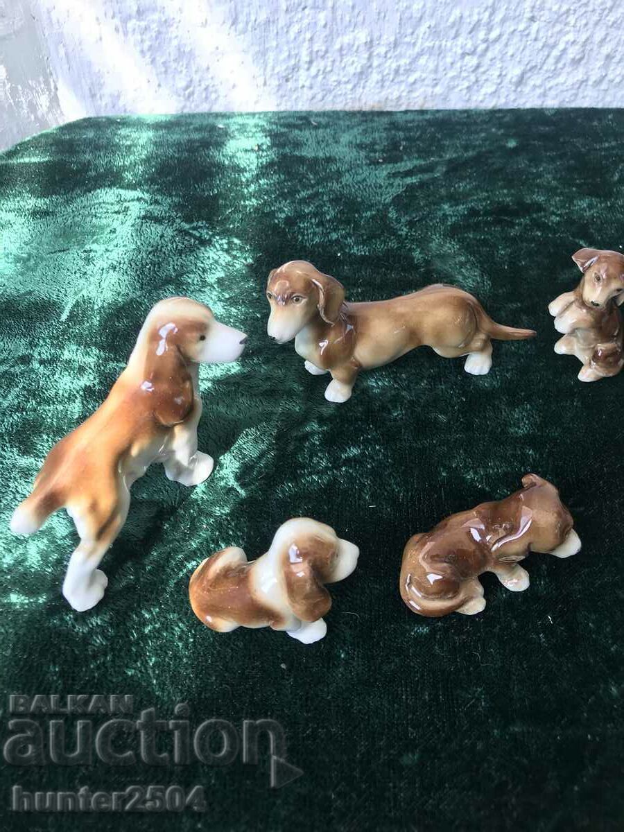 Кученца- колекция 8бр,Германия - 6