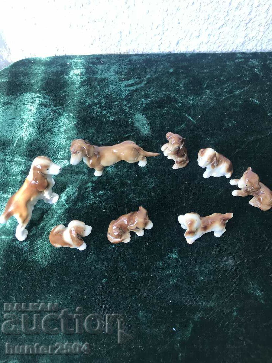 Puppies - collection of 8 pieces, Germany