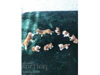 Κουτάβια - συλλογή 8 τεμαχίων, Γερμανία