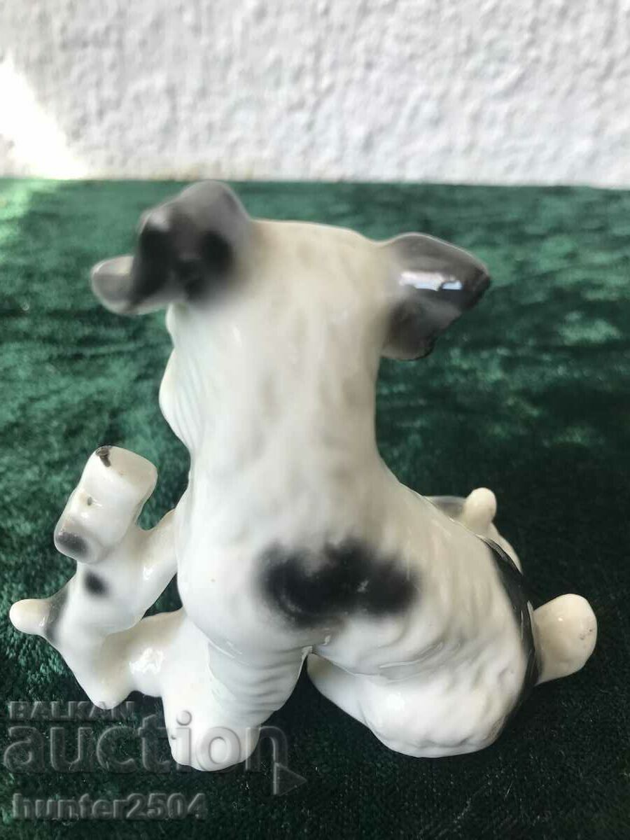 Puppy-, Germany with price 24.95 BGN | € 12.76 Puppy-, Germany with price 24.95 BGN | € 12.76