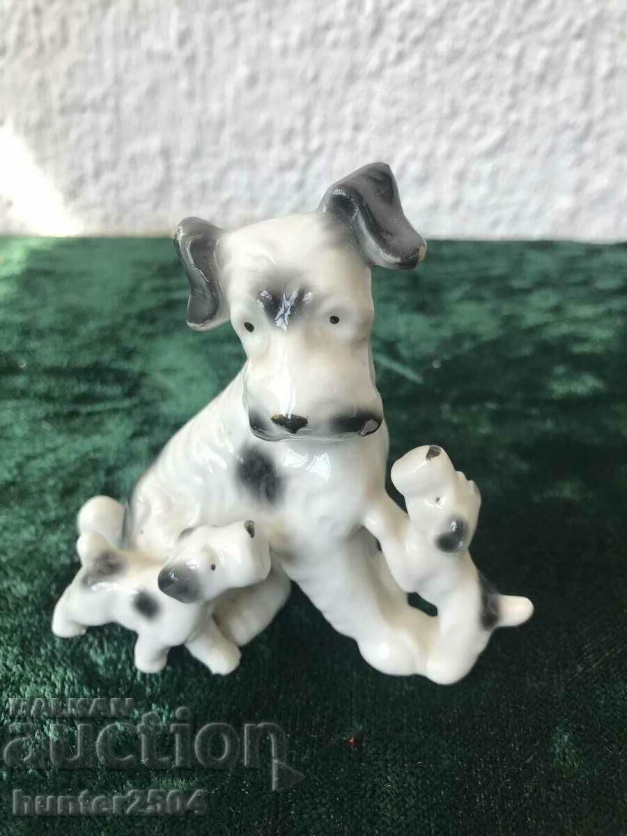 Puppy-, Γερμανία Puppy-, Γερμανία