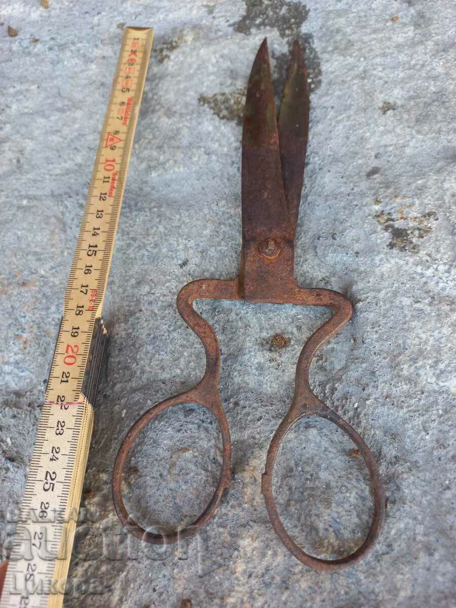 STAR HORSES NOVEL with price 50.00 BGN | € 25.56