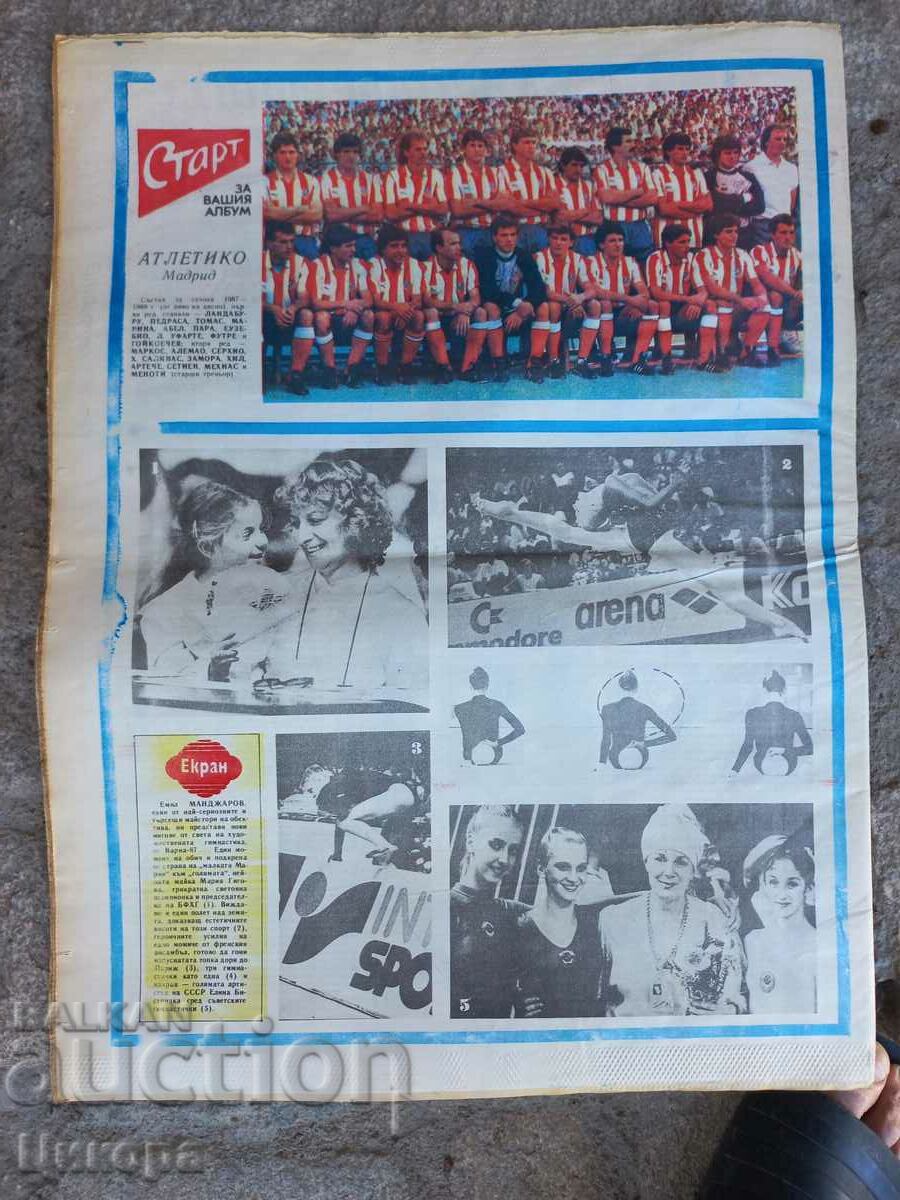 NEW STAR with price 5.00 BGN | € 2.56