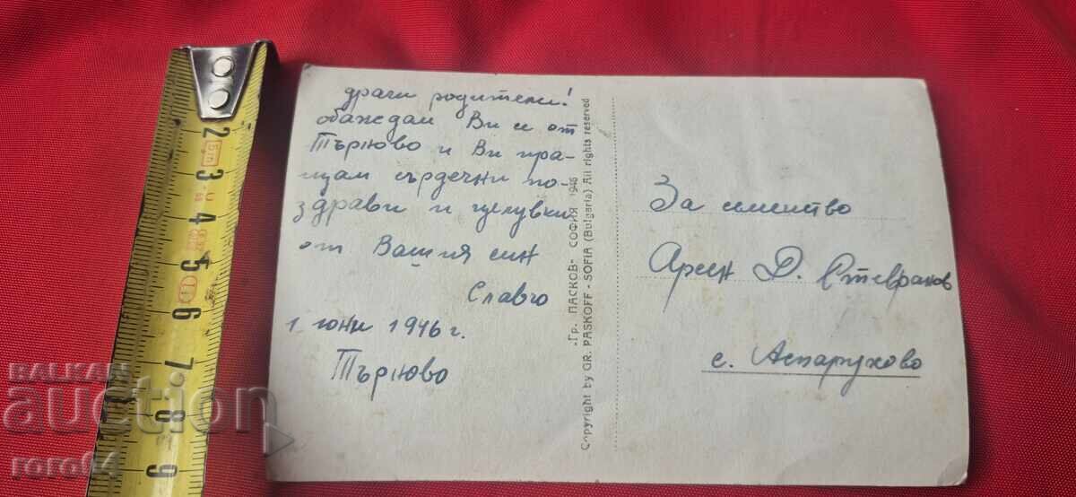 BAYONED MAUSER K 98 - BUTCHER - 6 BAYONED MAUSER K 98 - BUTCHER - 6