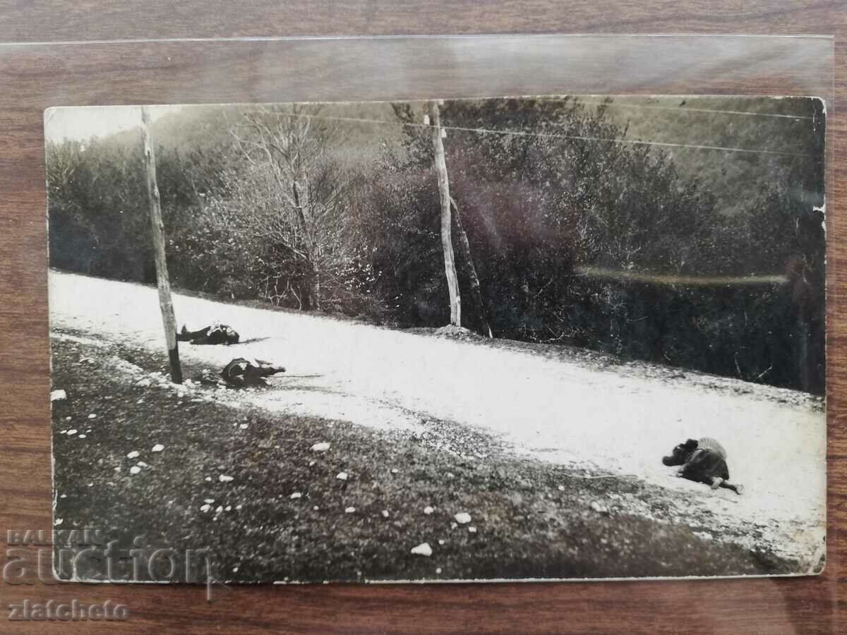 Old photo Kingdom of Bulgaria - Killed man, woman and grandmother - 5 Old photo Kingdom of Bulgaria - Killed man, woman and grandmother - 5