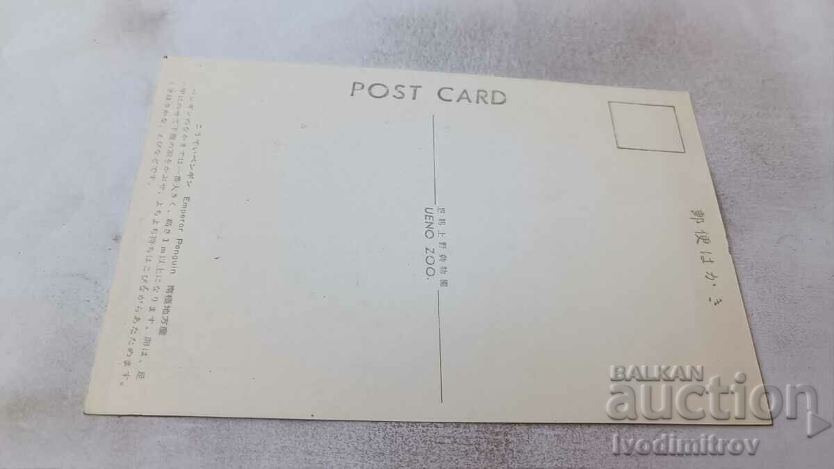 Emperor Penguin Postcard with price 0.75 BGN | € 0.38