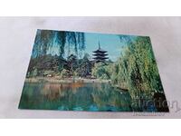 Nara Sarusawa Pond postcard