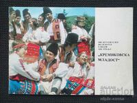 Kremikov Youth Folklore Ensemble Social brochure