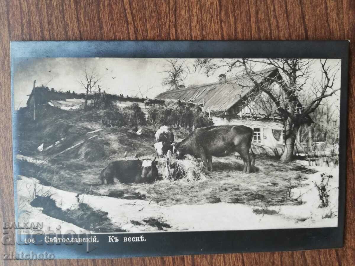 Postcard Kingdom of Bulgaria