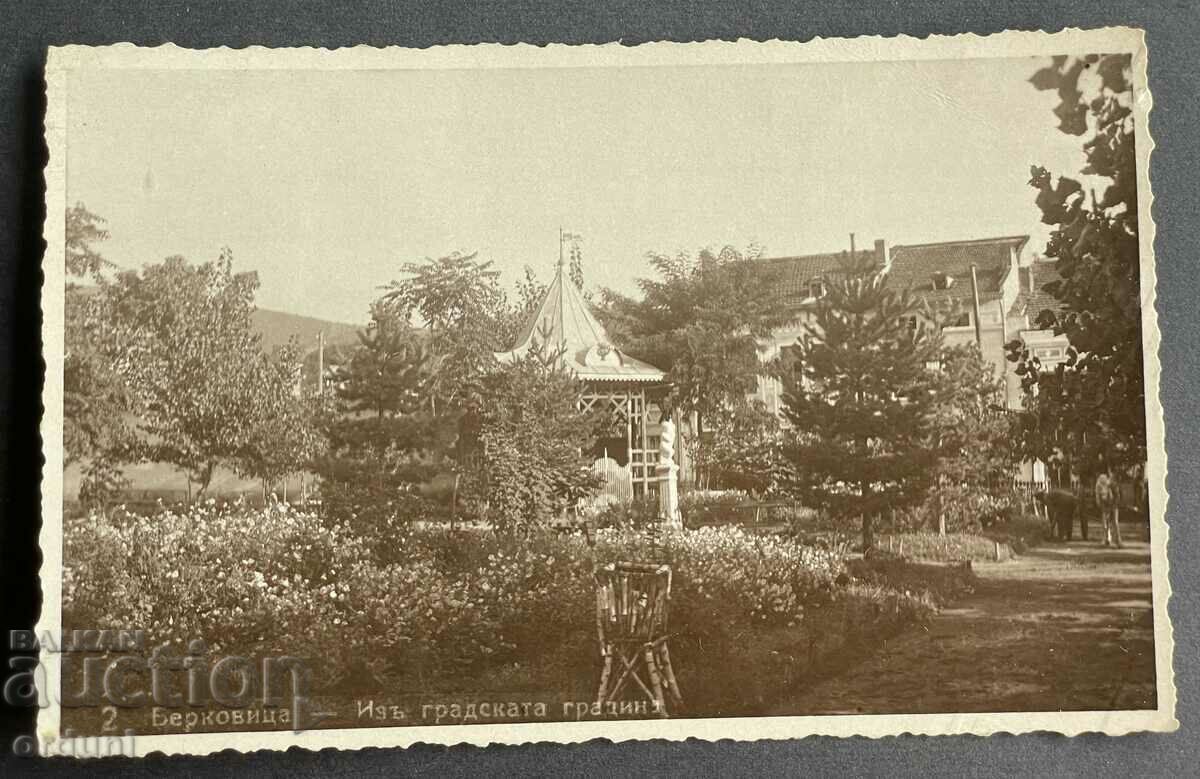 3688 Kingdom of Bulgaria Berkovitsa city garden 1935