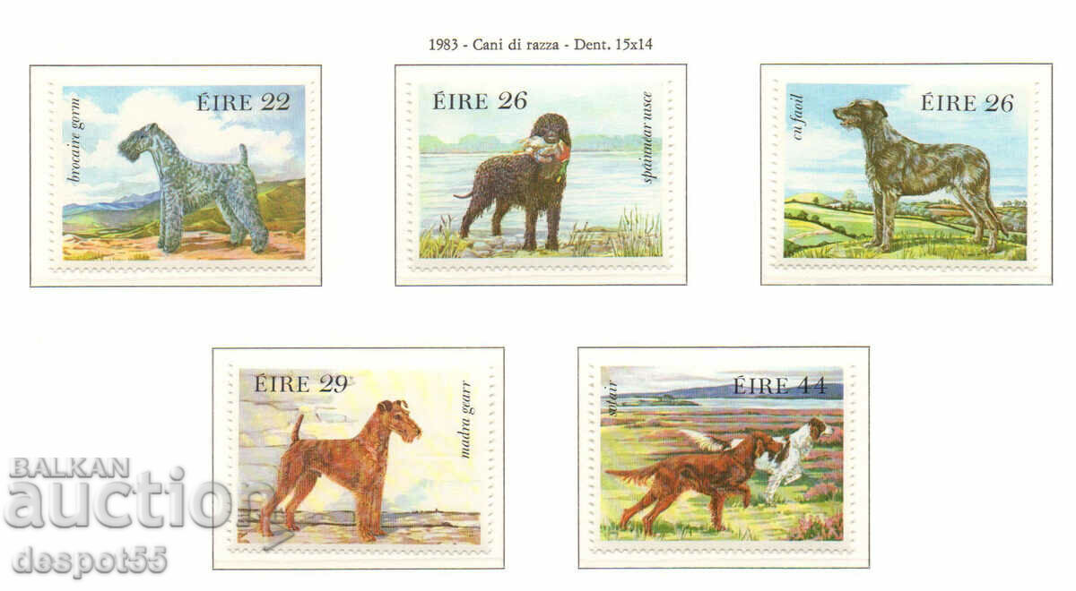 1983. Eire. Irish dog breeds.