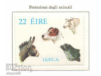 1983. Eire. Protection of animals.