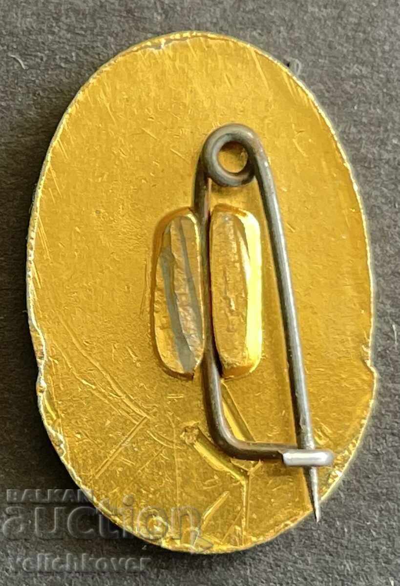 35462 Bulgaria sign Panagyurishte Raina Knyaginya with price 3.00 BGN | € 1.53 35462 Bulgaria sign Panagyurishte Raina Knyaginya with price 3.00 BGN | € 1.53