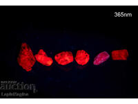 6 pcs strong fluorescence ruby 40.8ct uncut #10