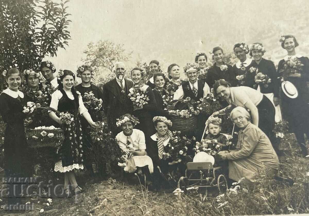 3741 Kingdom of Bulgaria Karlovo roses Roseberry 1939. with price 25.00 BGN | € 12.78 3741 Kingdom of Bulgaria Karlovo roses Roseberry 1939. with price 25.00 BGN | € 12.78