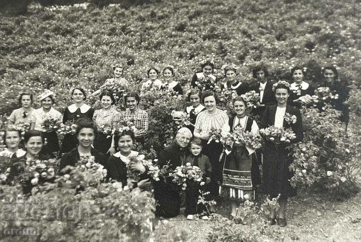 3742 Kingdom of Bulgaria Karlovo roses Roseberry 1939. with price 25.00 BGN | € 12.78 3742 Kingdom of Bulgaria Karlovo roses Roseberry 1939. with price 25.00 BGN | € 12.78